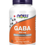 NOW Foods GABA with Vitamin B6 500 mg 200 Veg Capsules