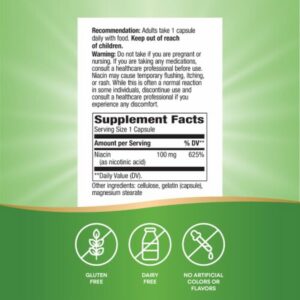 Nature’s Way Niacin Flush Vitamin B3 100 mg 100 Caps
