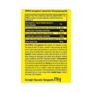 NUCLEAR NUTRITION SYNTHESIS MULTI CREATİNE COMPLEX 300 G - 52 SERVİS - Görsel 2