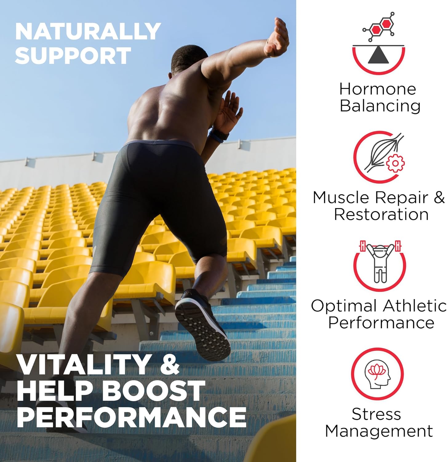 Nutrivein Premium Fadogia Agrestis and Tongkat Ali with Turkesterone - 1100 mg - 120 Caps Strength, & Recovery for Men & Women - Görsel 4