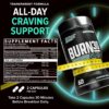 Nutrex BURN30 GLP-1 Carnitine Super Berberine Weight Management Appetite Control Gymnema sylvestre 60 Caps