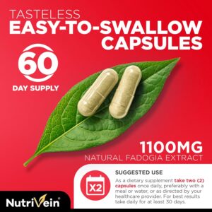 Nutrivein Premium Fadogia Agrestis and Tongkat Ali with Turkesterone - 1100 mg - 120 Caps Strength, & Recovery for Men & Women - Görsel 3