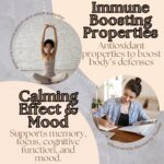 Research Labs Organic Lions Mane Immune System Booster & Nootropic Brain Support Mushroom 120 Caps - Görsel 3