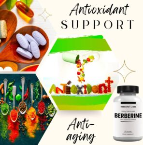 Research Labs Clinical Grade Berberine High Absorption Formula & BerberQuil Glucose 500mg 90 Caps - Görsel 3