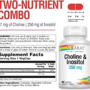 SOLARAY Choline & Inositol 250 mg Healthy Fat Metabolism, Brain Support 100 VegCaps