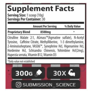 Submission Science Rocky KO Round 2 Dmaa Preworkout 300 g - Görsel 2