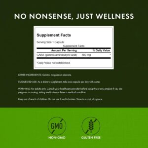 Swanson Gaba High Potency 500 mg 100 Capsul - Görsel 2