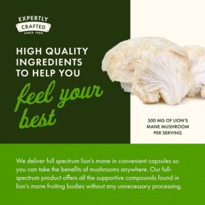 Swanson Full Spectrum Lion’s Mane Mushroom Aslan yelesi mantarı 500MG 60 Capsul