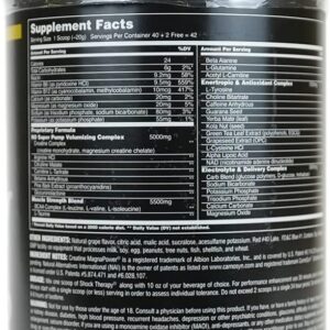 Universal Nutrition Shock Therapy All in one preworkout