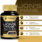 WELLNESS LABS Lions Mane Real Mushroom Brain, Memory and Focus Cognitive Immune 120 Caps - Görsel 2