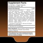 WELLNESS LABS Reishi Mushroom 10:1 Extract Lions Mane Turkey Tail 120 Caps - Görsel 3