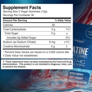 WELLNESS LABS Creatine Monohydrate Muscle Gh Strength Recovery 5000mg 60 Gummies - Görsel 3