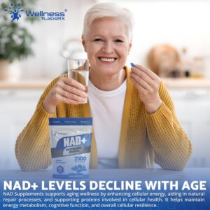 WELLNESS LABS Liposomal NAD+ Nicotinamide Riboside Resveratrol Nmnh Niacin Copper 90 Softgels - Görsel 3