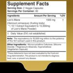 WELLNESS LABS Lions Mane Real Mushroom Brain, Memory and Focus Cognitive Immune 120 Caps - Görsel 4