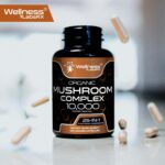 WELLNESS LABS Reishi Mushroom 10:1 Extract Lions Mane Turkey Tail 120 Caps - Görsel 2