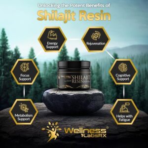 Wellness Labs Himalayan Shilajit for Men Resin with Fulvic Acid and Trace Minerals Immune Support 120 Servis - Görsel 2
