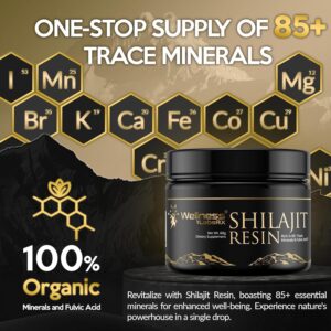 Wellness Labs Himalayan Shilajit for Men Resin with Fulvic Acid and Trace Minerals Immune Support 120 Servis - Görsel 3