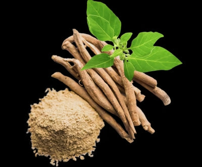 Nutrend Ashwagandha KSM66 60 Capsul - Görsel 3