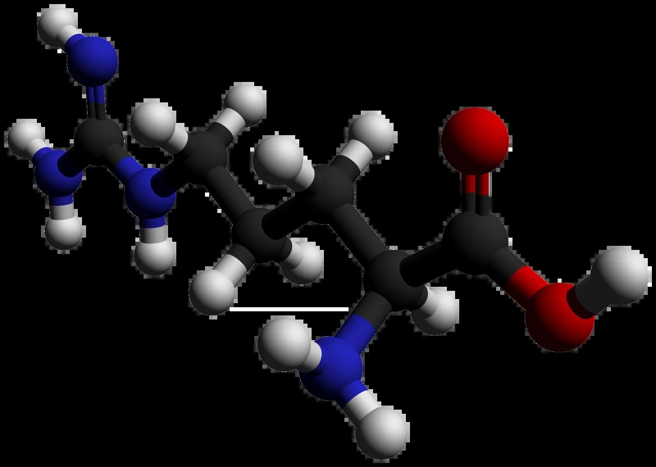 Arjinin (l-Arginine) ve Sitrülin Farkı: Antrenmanda Maksimum Pump İçin Hangisi?