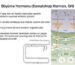 buyume-hormonu-gh-nedir-vucut-gelistirmede-etkileri-ve-riskleri_1789718749_24199208