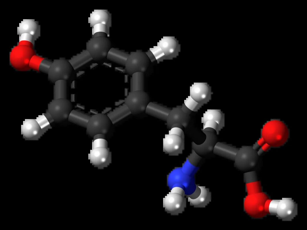 l-tirozin-tyrosine_1790791553_50016475