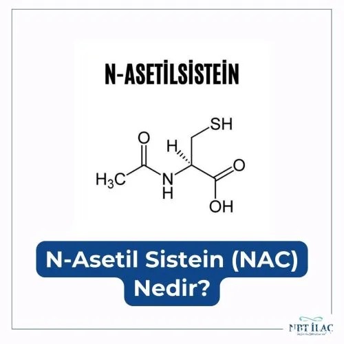 Nac (n-Asetil Sistein) Nedir? Ağır Antrenmanlar Sonrası Organ Koruması