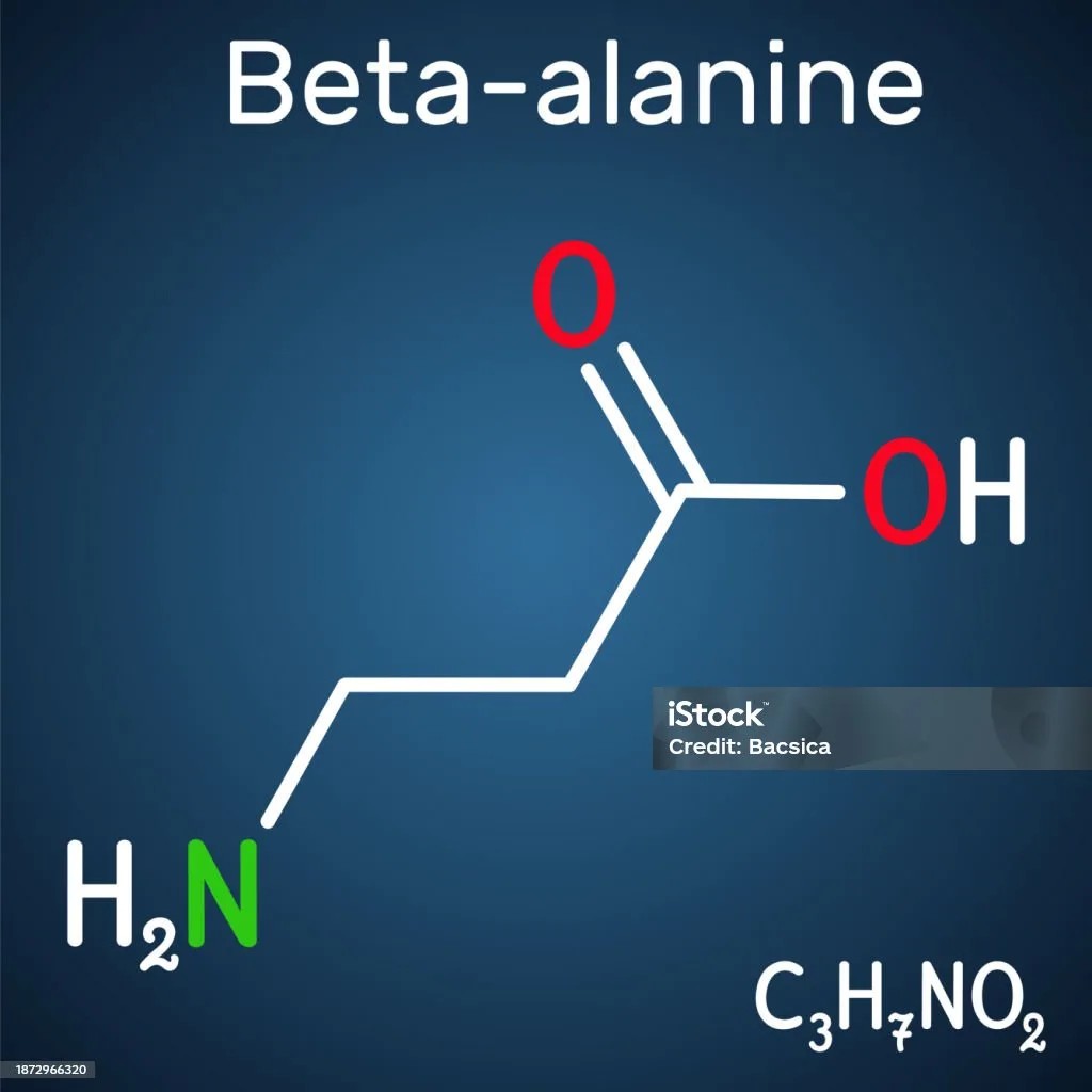 beta-alanin-nedir_1792091787_28904828