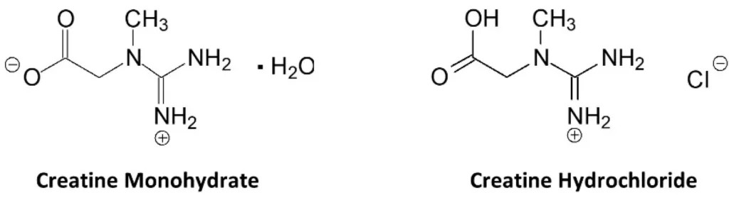 kreatin-hcl-vs-monohidrat_1792091913_14191675