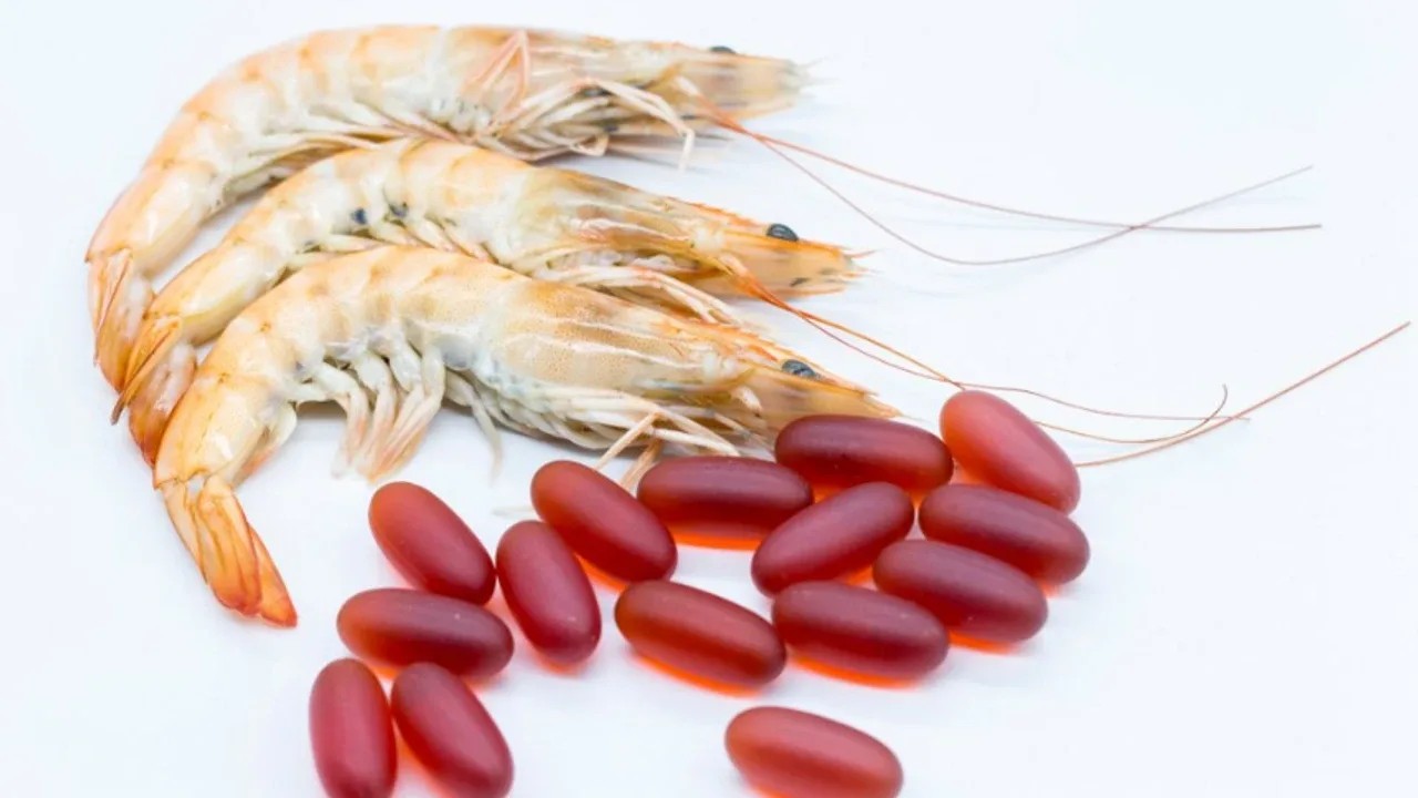 krill-yagi-faydalari_1792100701_35158271