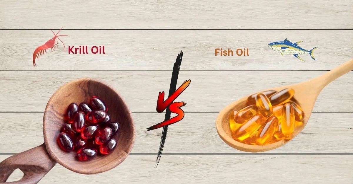 Krill Yağı Vs Balık Yağı: Astaksantin İçeren Yeni Nesil Omega-3 Tercihi 2 Krill Yağı Vs Balık Yağı: Astaksantin İçeren Yeni Nesil Omega-3 Tercihi