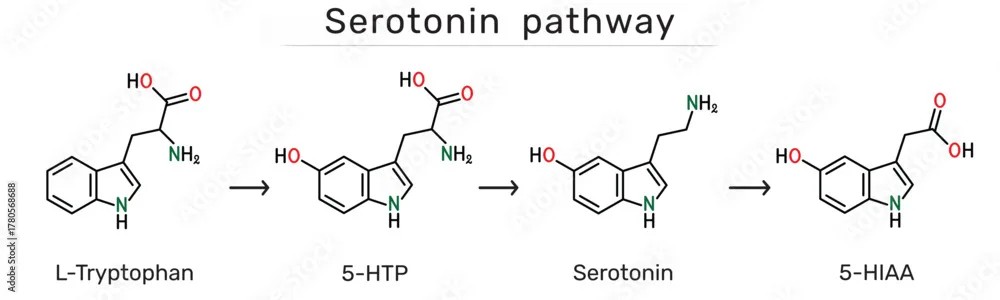 Mutluluk Hormonu Serotonin İçin 5-Htp Mi Yoksa L-Triptofan (tryptophan) Mı Alınmalı?