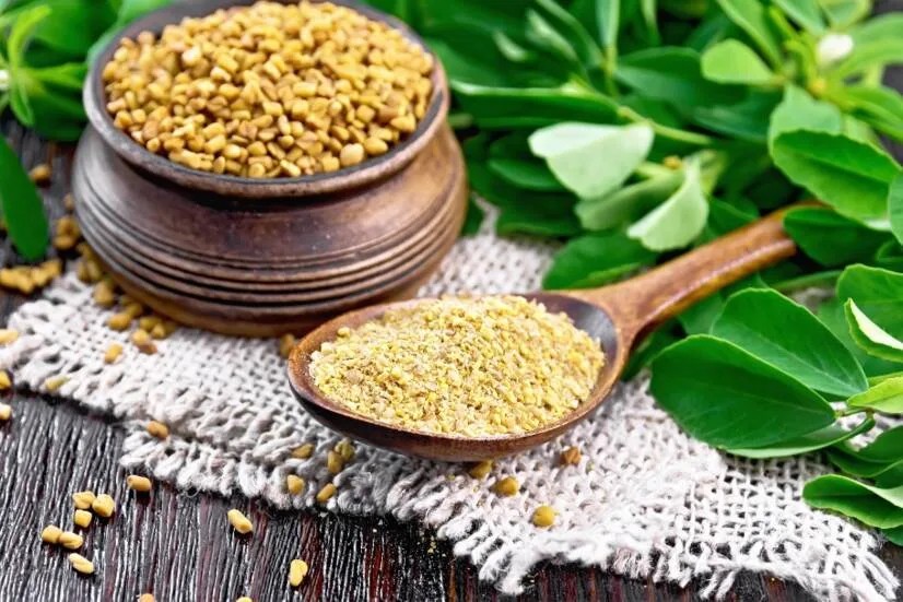 Testosteron Desteği Olarak Çemen Otu (fenugreek) Ekstresi Gerçekten İşe Yarıyor Mu? 2 Testosteron Desteği Olarak Çemen Otu (fenugreek) Ekstresi Gerçekten İşe Yarıyor Mu?